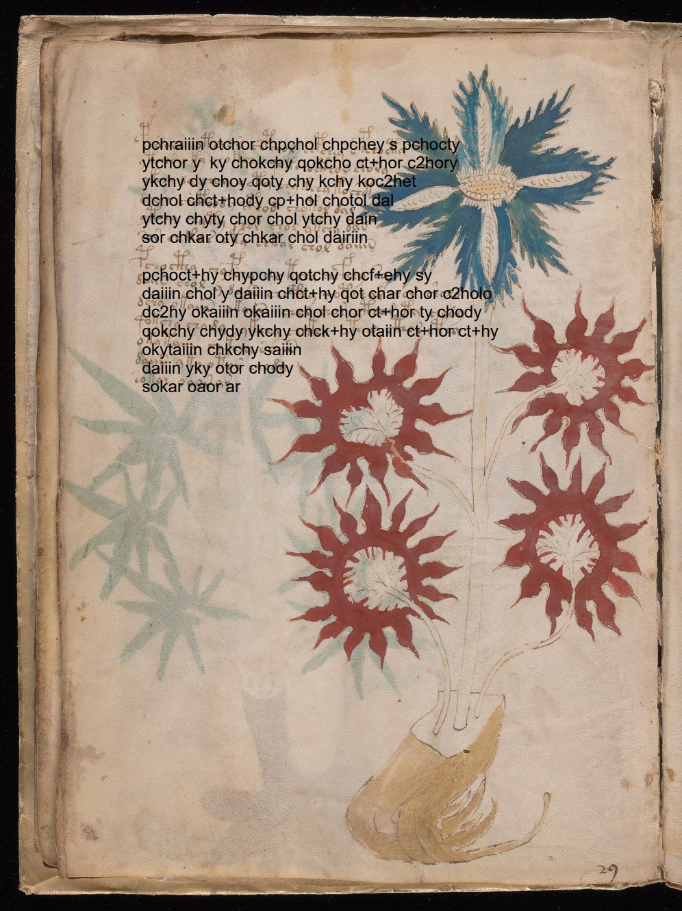 Folio 16v glyph overlay on parchment